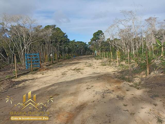 #81 - Chácara para Venda em Porto Seguro - BA - 2